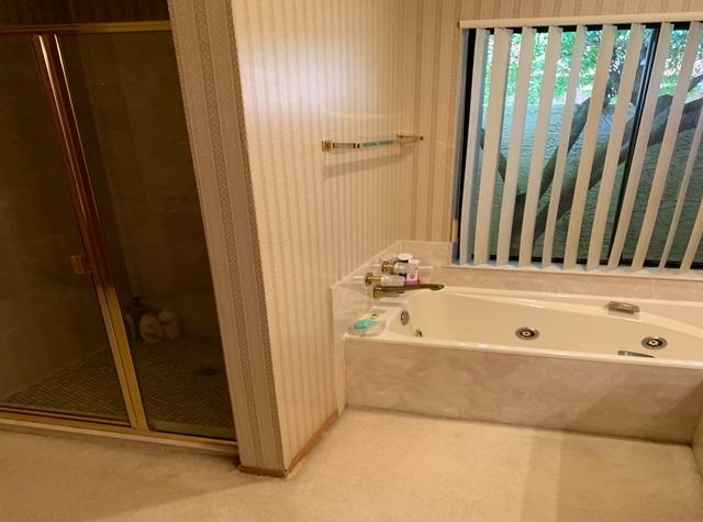 Master Bathroom Remodel in Scottsdale - Before Photo