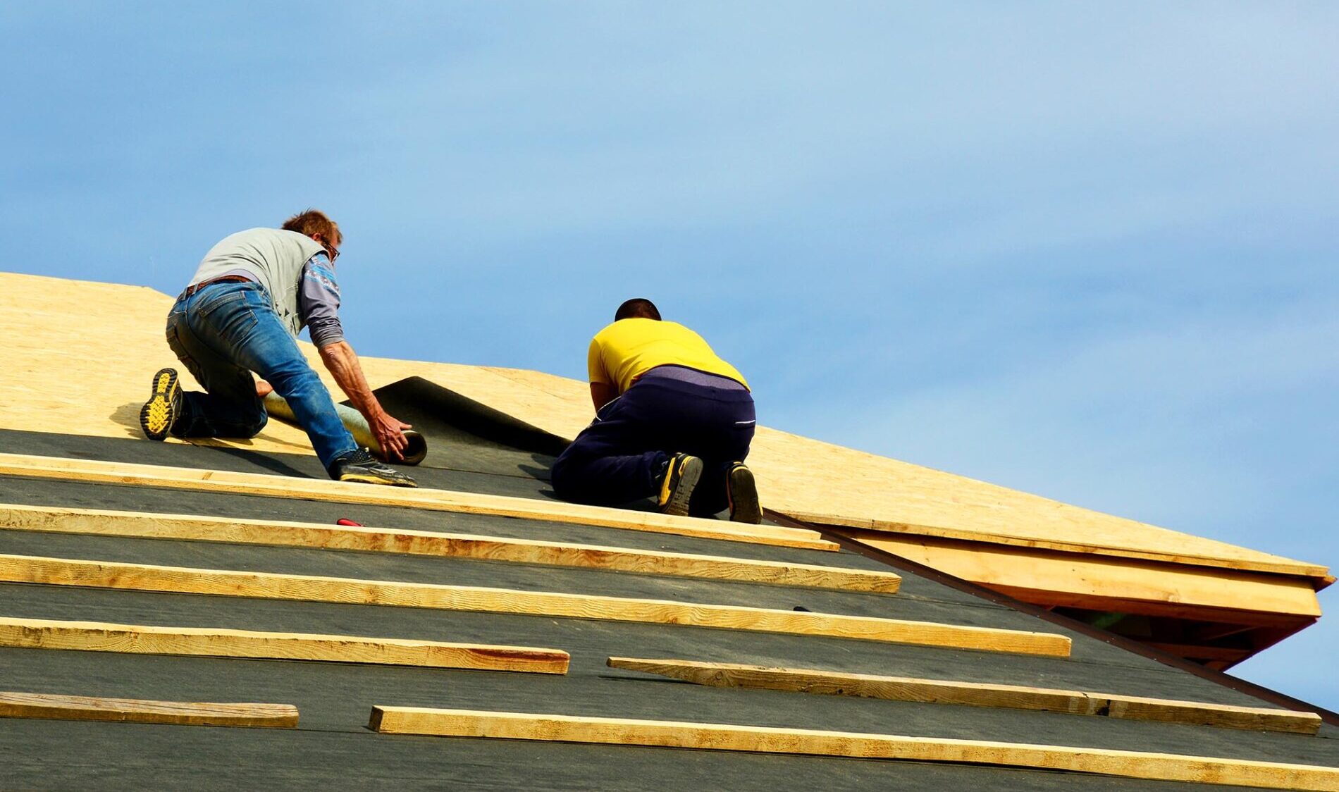 Start by keeping your roof clean. Remove leaves, twigs, and debris that can trap moisture and cause damage.