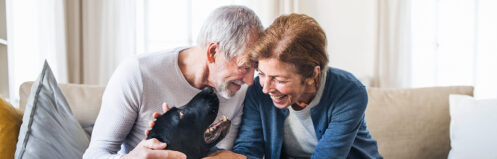 Elderly couple happy petting black lab dog