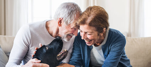 Elderly couple happy petting black lab dog