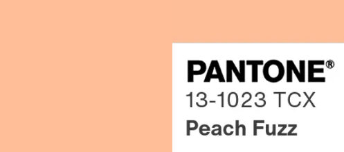 Pantone peach fuzz color