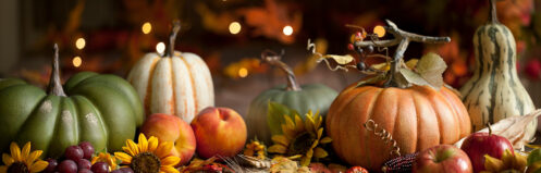 Squash and pumpkins surrounded by festive lighting