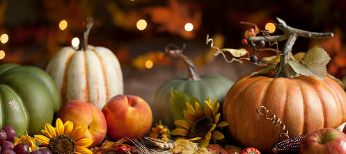 Squash and pumpkins surrounded by festive lighting